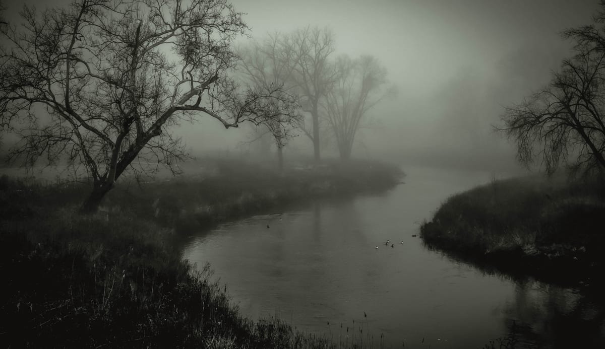 Misty river landscape